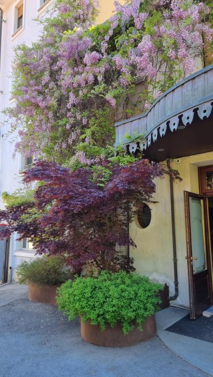 Zahrada ubytování Albergo Ristorante Trieste Boves