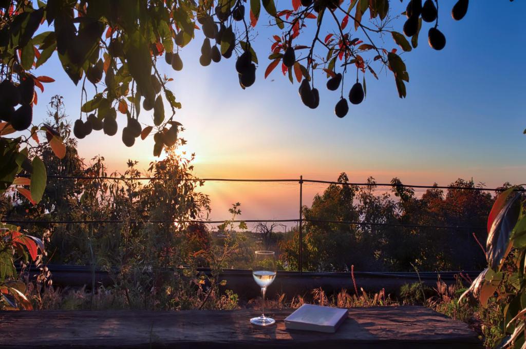 プンタゴルダにあるLa casa de La Cartitaの夕日を眺めながらワイン1杯