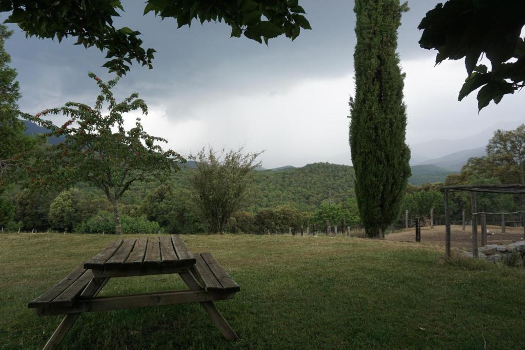 Príroda v okolí of the country house