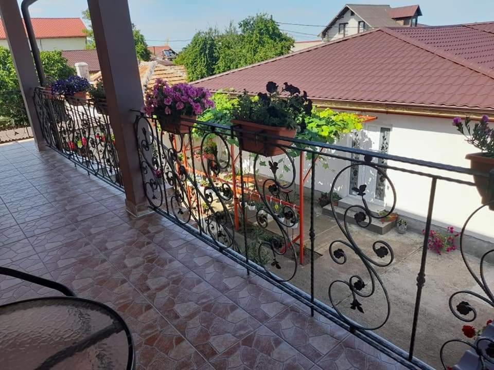 un balcone con piante in vaso su una recinzione di Casa EliAndrei a 2 Mai
