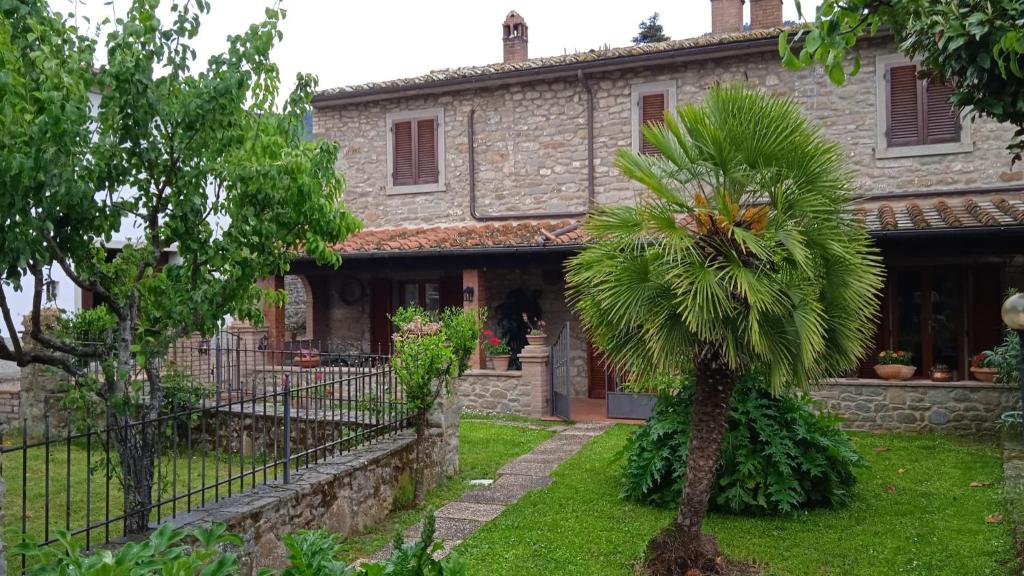 an old house with a palm tree in the yard at MAGNOLIA in Cortona