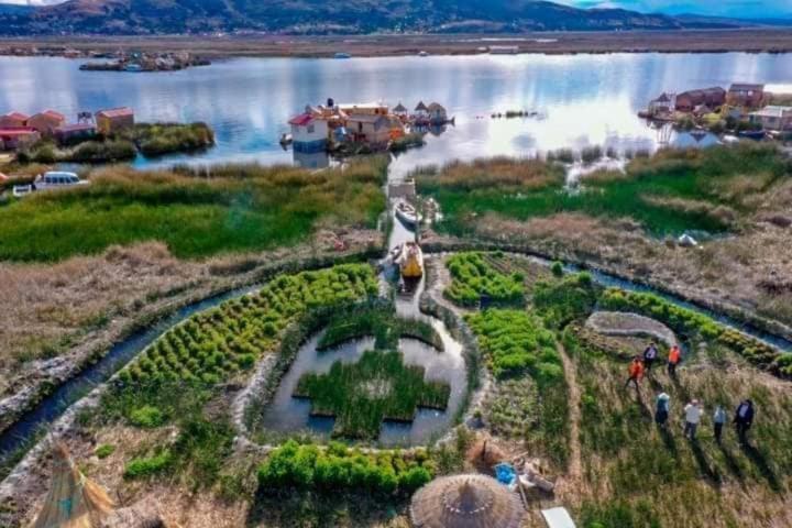 personas de pie alrededor de un jardín cerca de un cuerpo de agua en Tika Tika Lodge, en Escallani