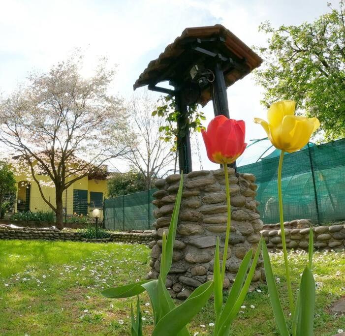 Zahrada ubytování Il Vecchio Kiwi - House with private garden