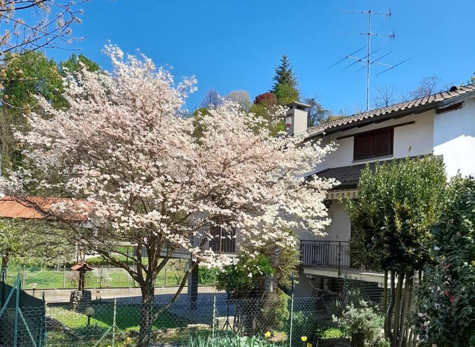 Zahrada ubytování Il Vecchio Kiwi - House with private garden