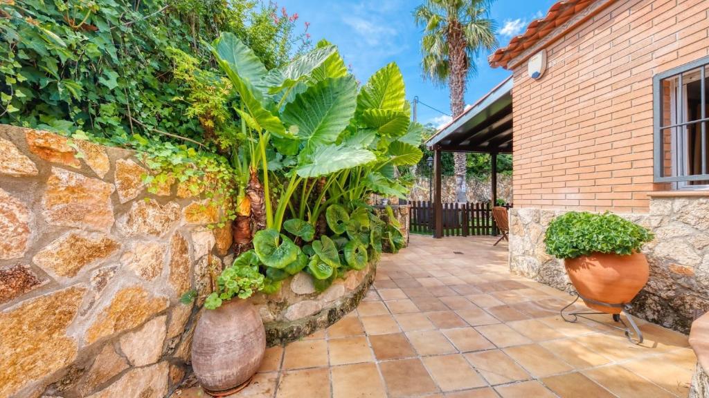 Zahrada ubytování Costacabana - Villa Alba