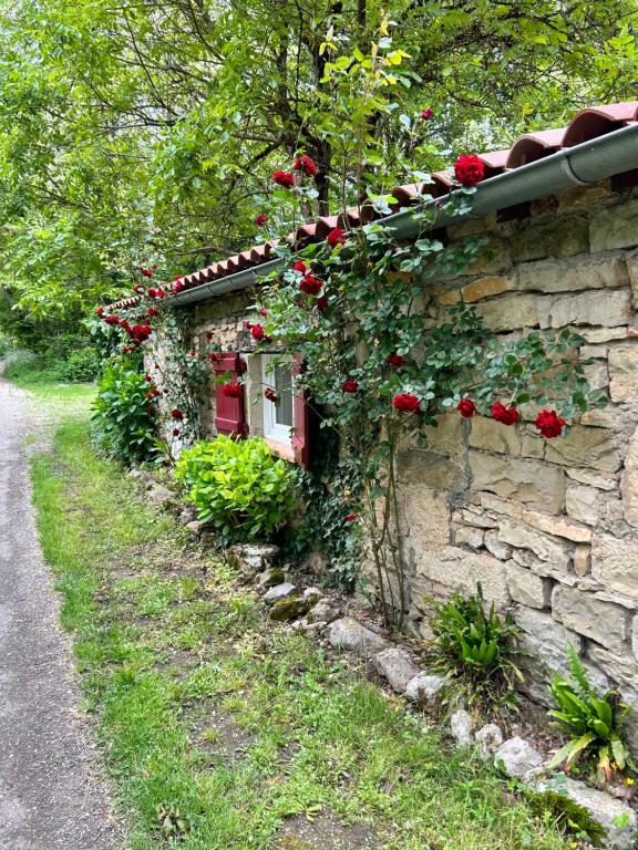 Zahrada ubytování Chambre en bordure d'Aveyron