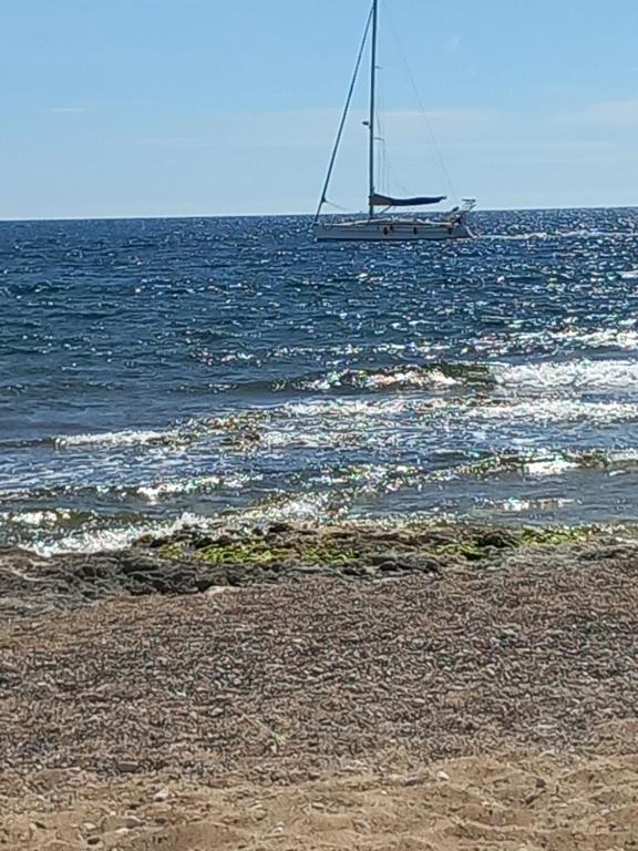 a sail boat in the ocean with a beach at Le Mooréa 2 est à 5 min de l&#39;hyper centre et plages in Sausset-les-Pins