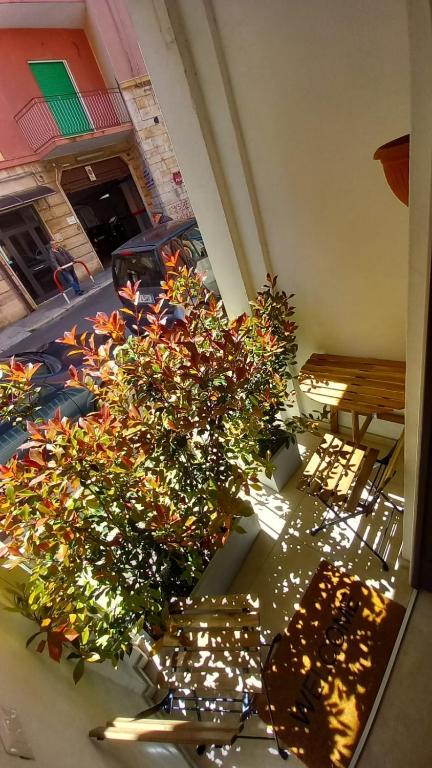 Dimora Fantasia Charme B&B - 4