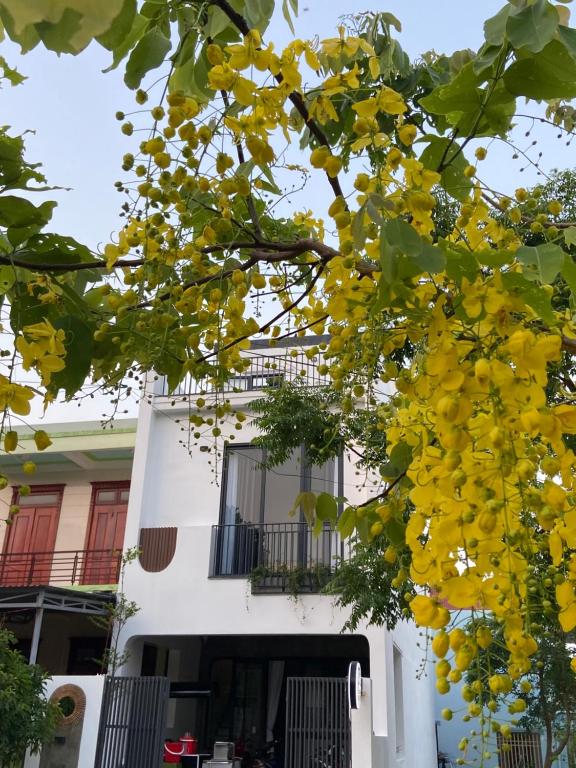 een boom met gele bloemen voor een wit gebouw bij Ju’s House in Dong Hoi