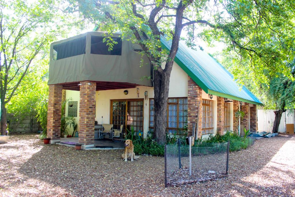 a house with a dog sitting in front of it at Casa Bena in Maun