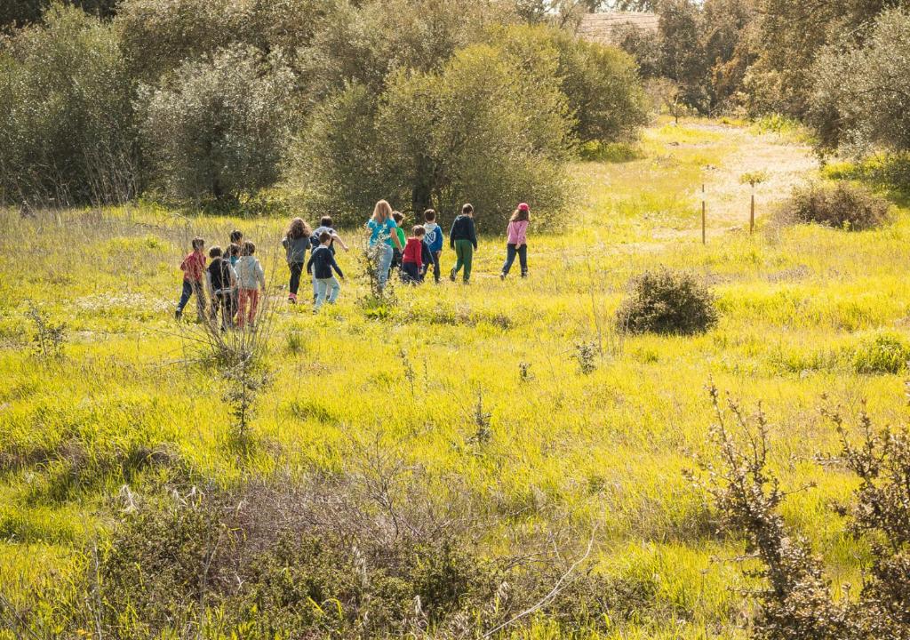 Evora Hotel - Resim 40