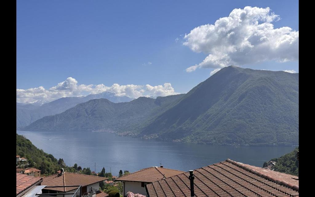 Dizzasco