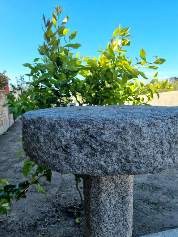 Fotografie z fotogalerie ubytování Casa Alcabre (Samil) v destinaci Vigo