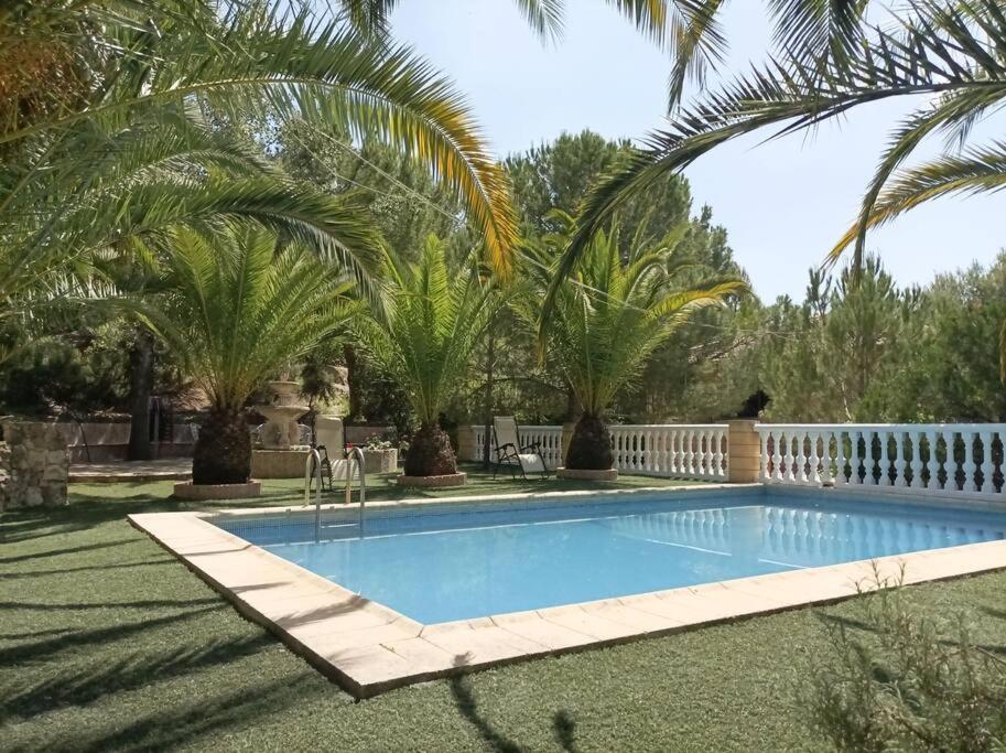 una piscina en un patio con palmeras en Villa Bendición - Subbética Cordobesa en Doña Mencía