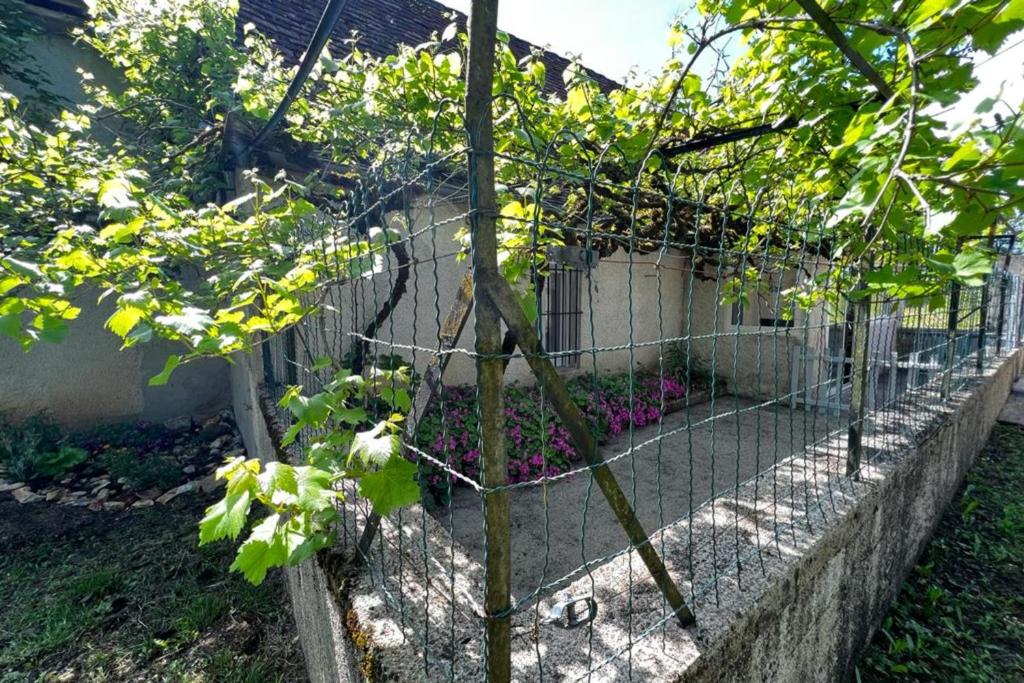 una cerca con un árbol en un jardín en Maison de Famille à Soulier, en Gramat