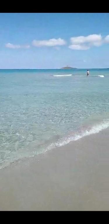 Zdjęcie z galerii obiektu CASA ISOLA w mieście Isola delle Femmine