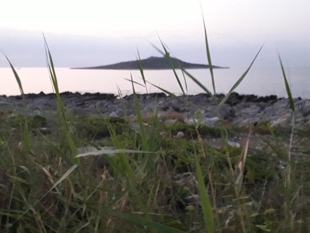 Zdjęcie z galerii obiektu CASA ISOLA w mieście Isola delle Femmine