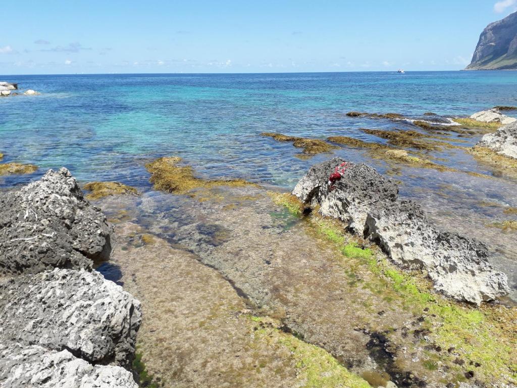 Zdjęcie z galerii obiektu CASA ISOLA w mieście Isola delle Femmine