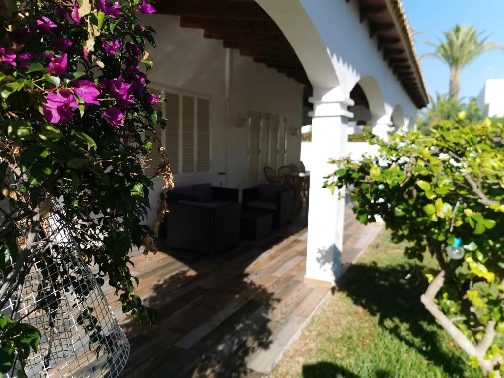 Vonkajšia záhrada v ubytovaní Spacious House with Private Pool in Vera, 420 sqm