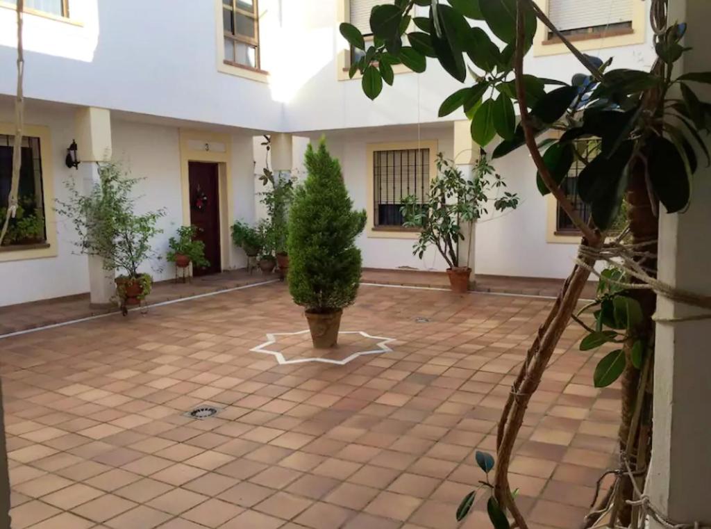 einen Innenhof mit einem Topfbaum in einem Gebäude in der Unterkunft 3 bedrooms house with city view at Cordoba in Córdoba