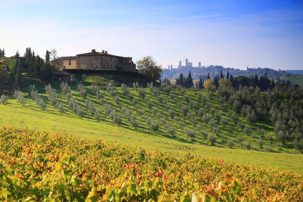 a vineyard with a house on a hill with a green field at Agriturismo Montegonfoli in San Gimignano