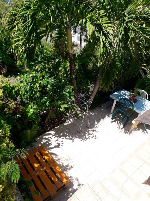 a wooden bench and a table and a palm tree at Studio avec vue sur la mer jardin clos et wifi a Vieux habitants a 1 km de la plage in Vieux-Habitants