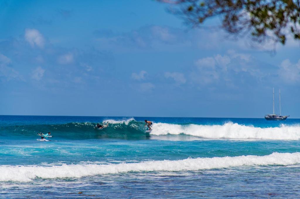 a group of people riding waves in the ocean at Aasna Inn in Thulusdhoo