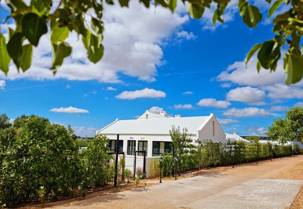 a white building with trees in front of it at Klawerjas in Robertson