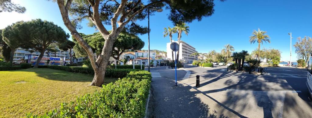 une rue avec des palmiers et un trottoir avec un arbre dans l'établissement Appartement la méridienne Le Lavandou 2 à 4 personnes, au Lavandou