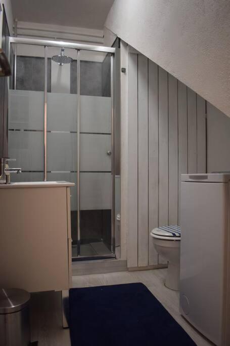 a bathroom with a shower and a toilet at APPARTEMENT NEUF ET INDÉPENDANT DANS REZ-DE-VILLA in Vallauris