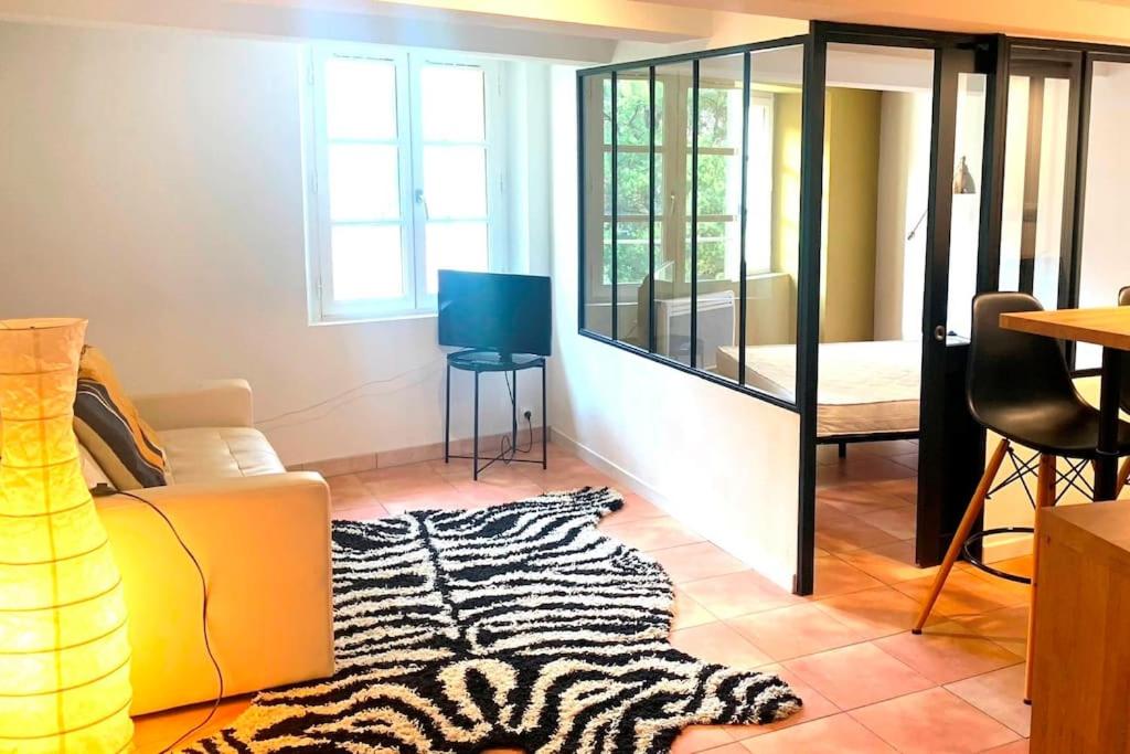 a living room with a zebra patterned rug at Logement avec deux velos in Hyères