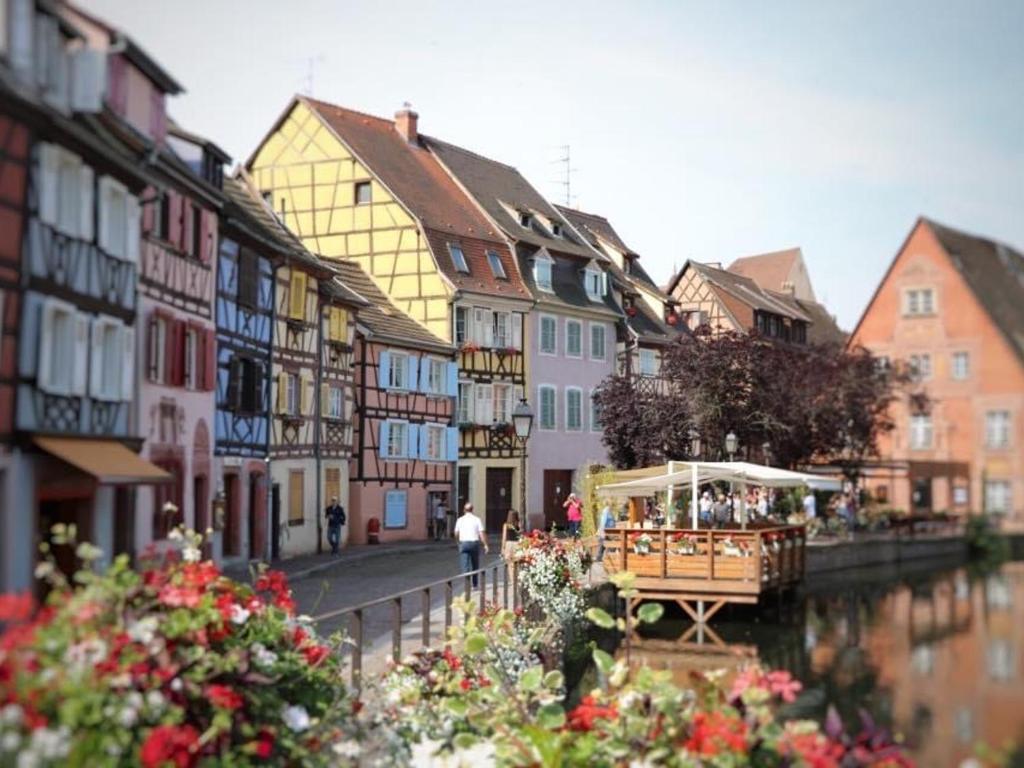 Appartement spacieux à Colmar avec terrasse, garage privatif, proche centre et gare – photo 6