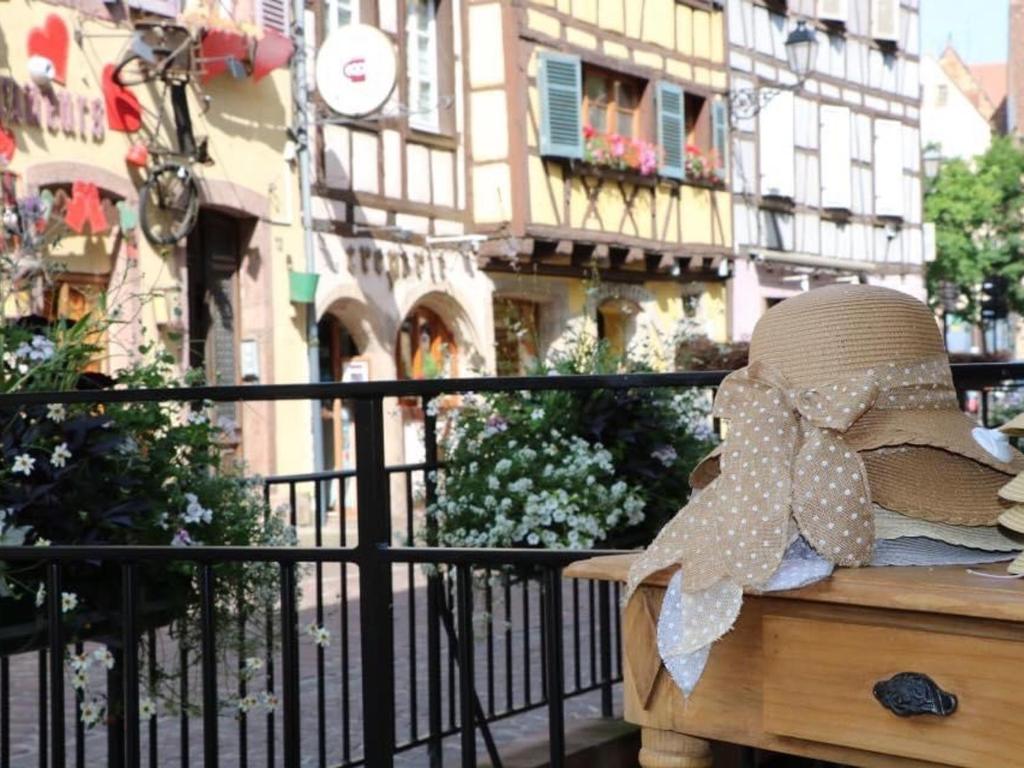 Appartement spacieux à Colmar avec terrasse, garage privatif, proche centre et gare – photo 16