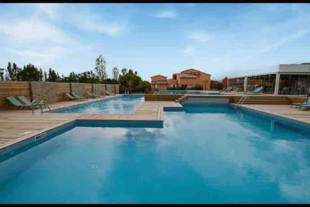 una gran piscina de agua azul en un edificio en Appartement T2 cosy à San ciprianu en Lecci