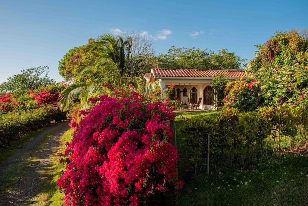 uma casa com flores cor-de-rosa em frente a um quintal em Gateway to Paradise em Tilarán