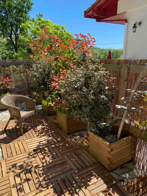 Ogród w obiekcie Maison - Terrasse - Jardin - Foret landaise