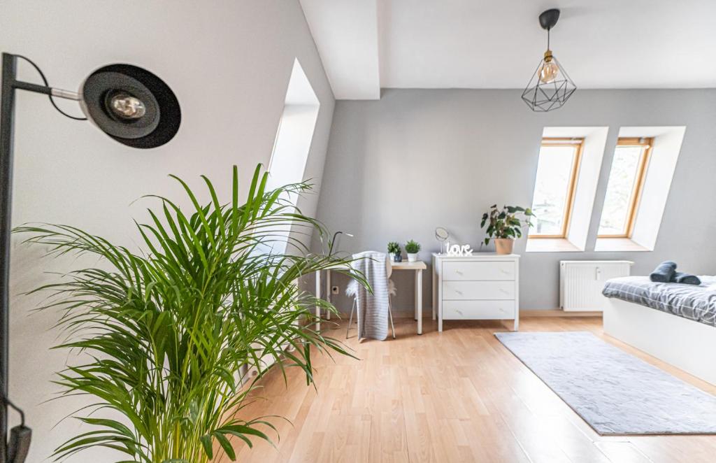 NiceOne Apartment Number 7 - W samym Centrum! - 12