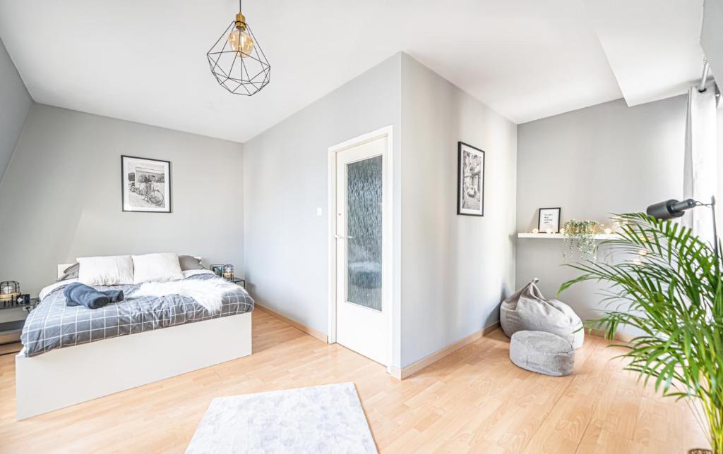 NiceOne Apartment Number 7 - W samym Centrum! - 19