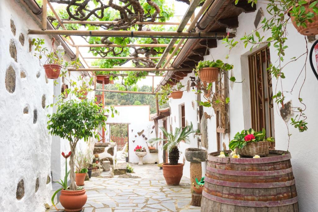 Zahrada ubytování Casa Rural Felipe Luis