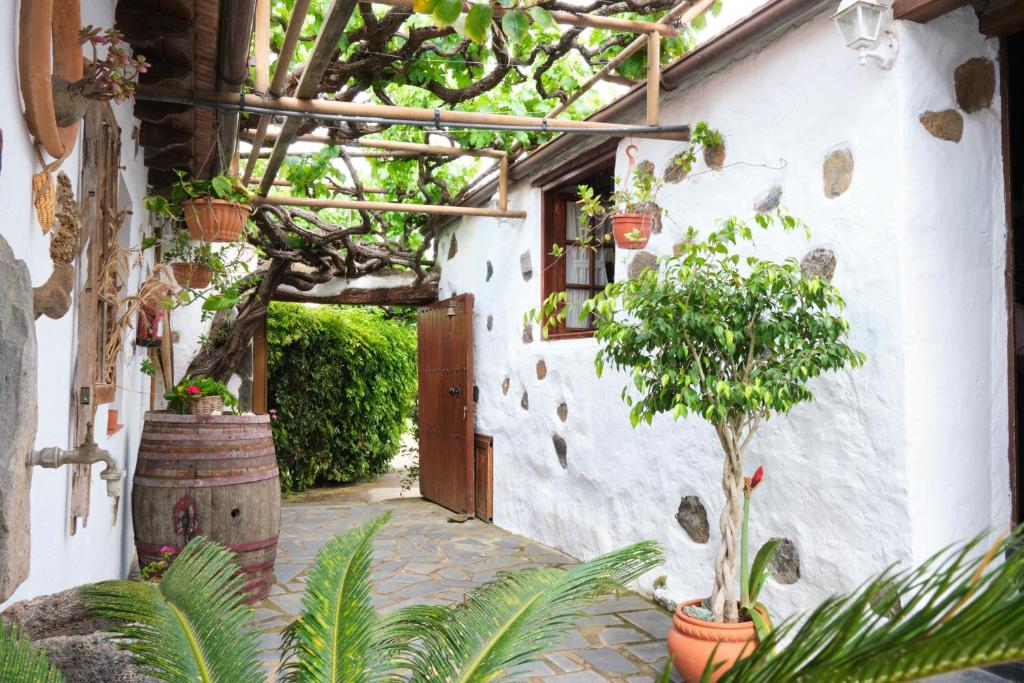 Zahrada ubytování Casa Rural Felipe Luis