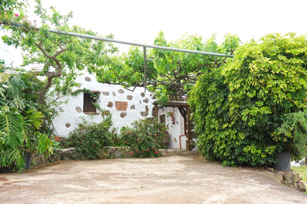 Zahrada ubytování Casa Rural Felipe Luis