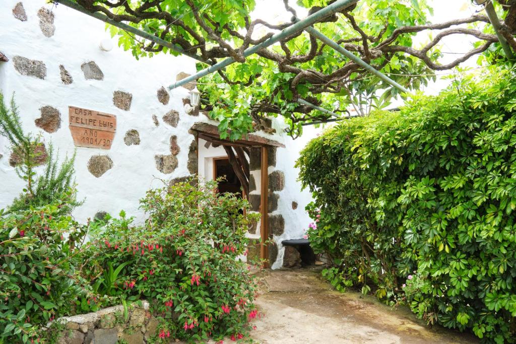 Zahrada ubytování Casa Rural Felipe Luis