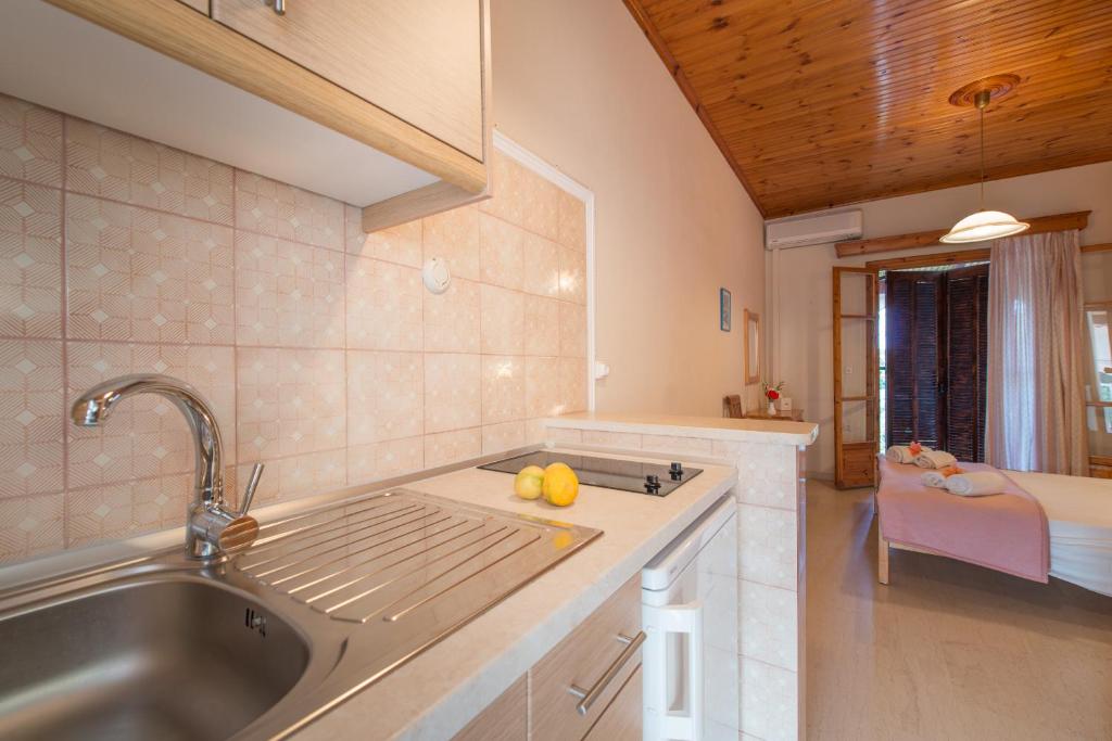 Virtuvė arba virtuvėlė apgyvendinimo įstaigoje Dimaras Apartments