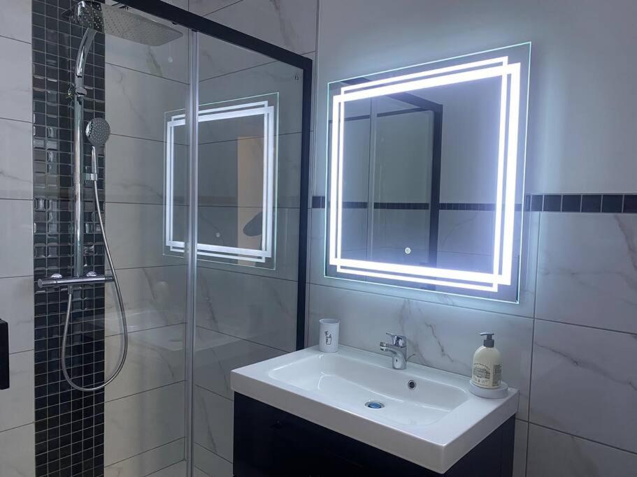 a bathroom with a sink and a shower and a mirror at Le 202 de la gare: appartement neuf et climatisé in Chalons en Champagne