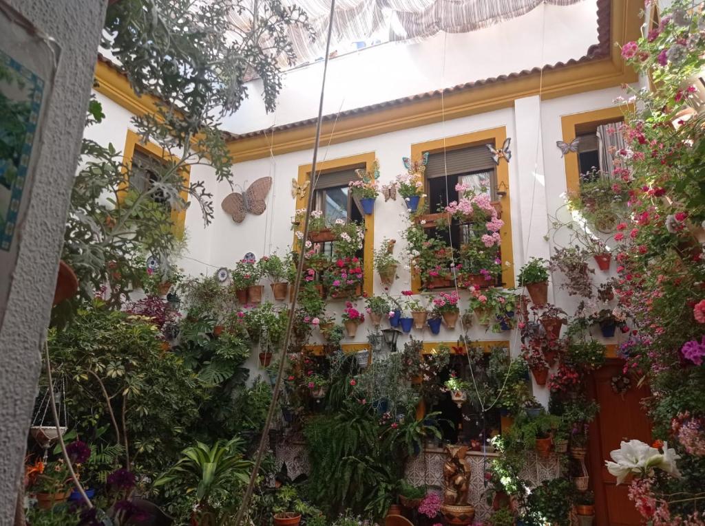 una casa llena de flores y plantas en PATIO POZANCO, en Córdoba