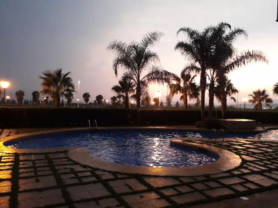 a pool of water with palm trees in a park at Lovely 1bed apartment with padel court near beach in Moncófar