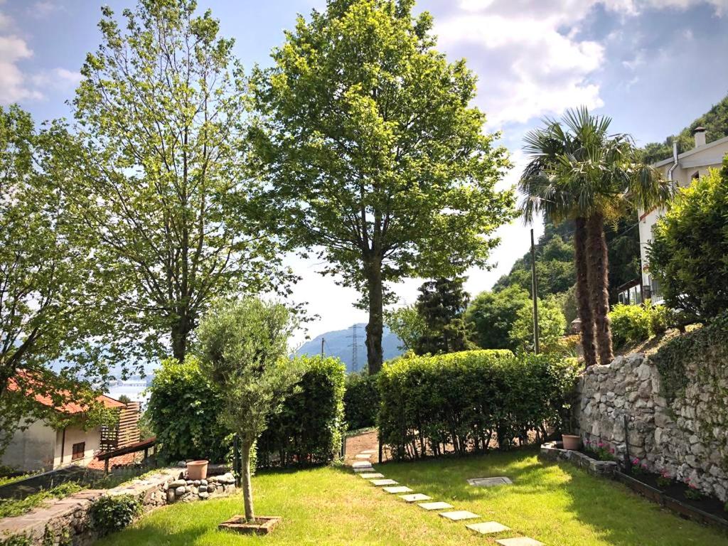 a garden with trees and a stone wall at La Dimora Degli Olivi Dependance in Galbiate