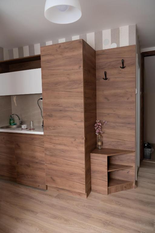 Kuchyň nebo kuchyňský kout v ubytování Studio Apartments Maksimović