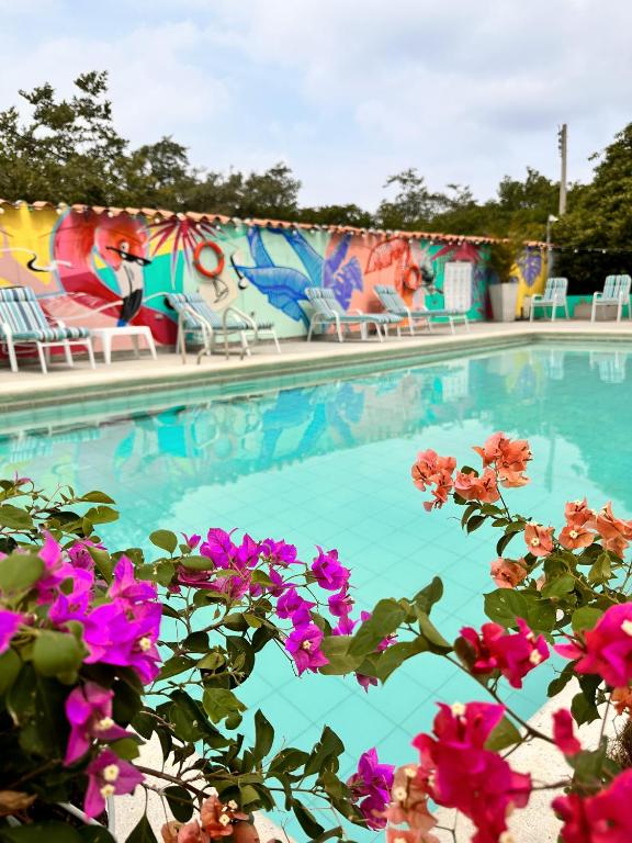 a swimming pool with blue water and pink flowers at Hotel Los Veleros Santa Marta in Santa Marta
