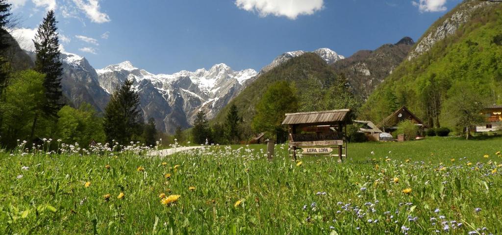 a field of flowers with mountains in the background at Lepa Lopa resort in Stahovica